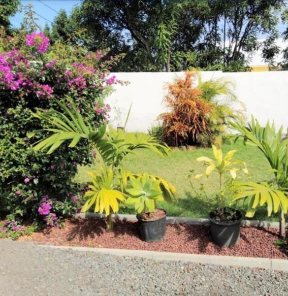 Jolie Maison T3 A St Pierre, 2 Chambres Avec Sdb, Grande Varangue, Jardin Saint Pierre Luaran gambar